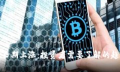 加密货币长期上涨：投资