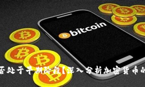 加密货币是否处于早期阶段?深入分析加密货币的现状与未来
