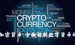 狮子加密货币：全面解析
