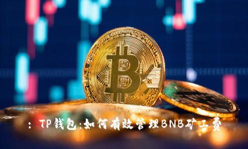 : TP钱包:如何有效管理BNB矿工费