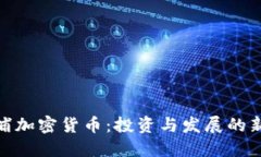 : 杨浦加密货币：投资与发