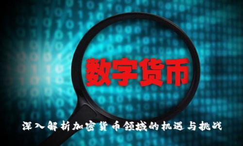 深入解析加密货币领域的机遇与挑战