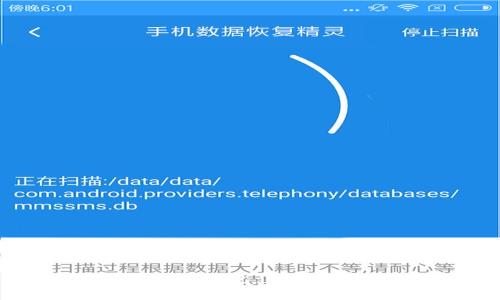 如何下载和使用P钱包:详细指南与常见问题