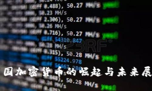 美国加密货币的崛起与未来展望