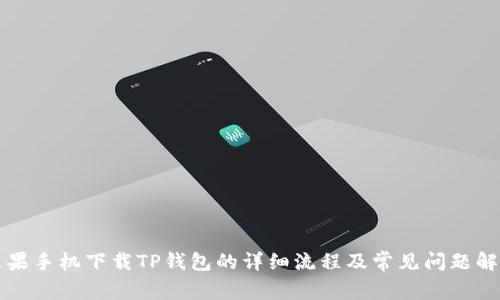 苹果手机下载TP钱包的详细流程及常见问题解答