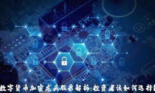数字货币加密龙头股票解析:投资者该如何选择?