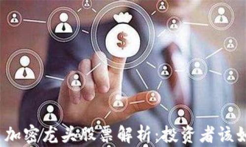 数字货币加密龙头股票解析:投资者该如何选择?