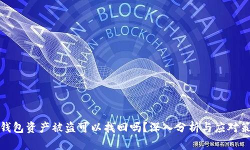 TP钱包资产被盗可以找回吗?深入分析与应对策略