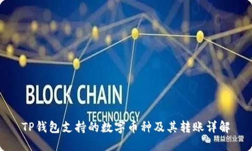 TP钱包支持的数字币种及其转账详解