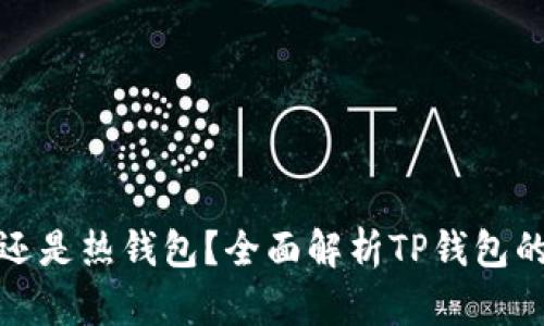 : TP钱包是冷钱包还是热钱包?全面解析TP钱包的安全性与使用场景