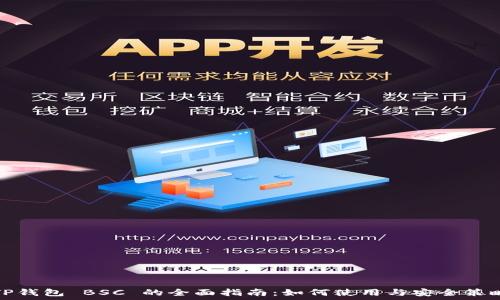 TP钱包 BSC 的全面指南:如何使用与安全策略
