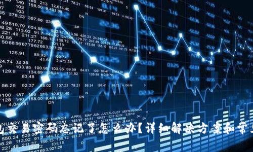 TP钱包交易密码忘记了怎么办？详细解决方案和常见问题