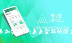 津巴布韦加密货币：未来