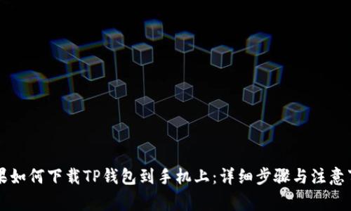 苹果如何下载TP钱包到手机上:详细步骤与注意事项