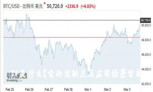 TP是什么?它的优缺点与应用场景分析