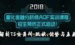 深入解析TS交易所：现状、