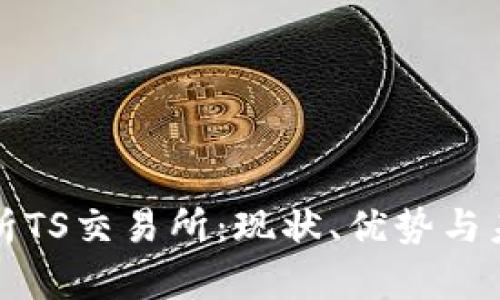 深入解析TS交易所:现状、优势与未来趋势