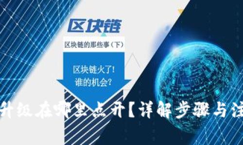 TP钱包升级在哪里点开?详解步骤与注意事项