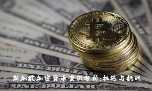 新加坡加密货币案例分析:机遇与挑战