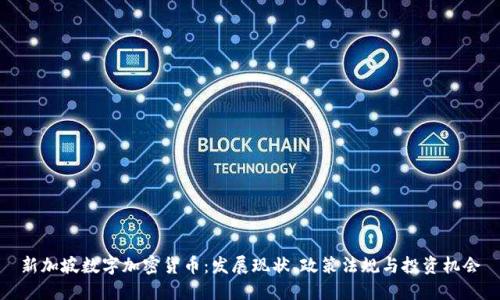 新加坡数字加密货币：发展现状、政策法规与投资机会