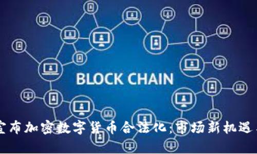 印度宣布加密数字货币合法化:市场新机遇与挑战