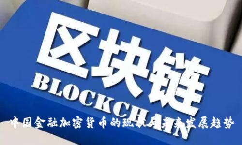 中国金融加密货币的现状与未来发展趋势