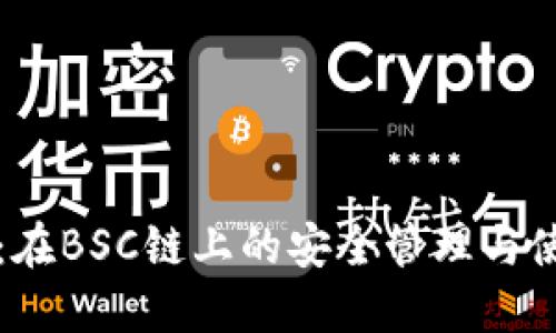 TP钱包:在BSC链上的安全管理与使用指南