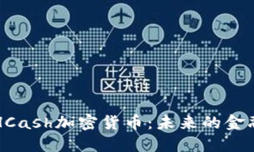 深入探讨HCash加密货币：未来的金融解决方案