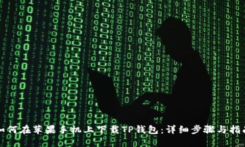 如何在苹果手机上下载TP钱包:详细步骤与指南