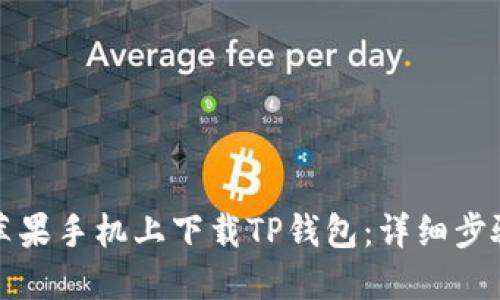 如何在苹果手机上下载TP钱包:详细步骤与指南