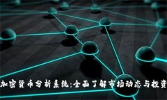 英国加密货币分析系统：