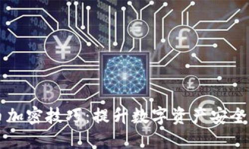 深入了解货币加密技巧：提升数字资产安全性的实用指南