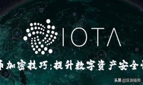 深入了解货币加密技巧：提升数字资产安全性的实用指南