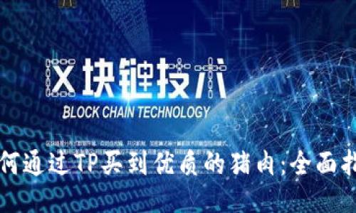 如何通过TP买到优质的猪肉:全面指南