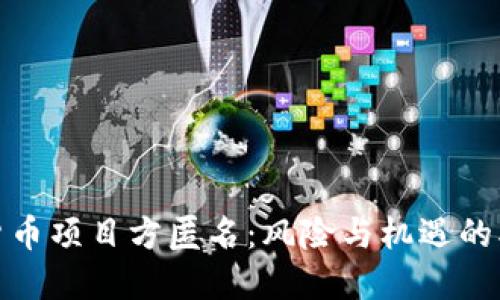 加密货币项目方匿名：风险与机遇的双刃剑