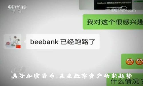 夹子加密货币:未来数字资产的新趋势