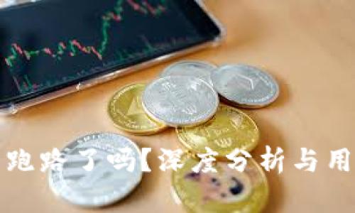 TP钱包跑路了吗?深度分析与用户指南