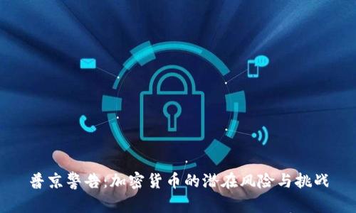 普京警告：加密货币的潜在风险与挑战