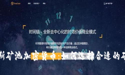 深入了解俄罗斯矿池加密货币：如何选择合适的矿池并挖矿收益