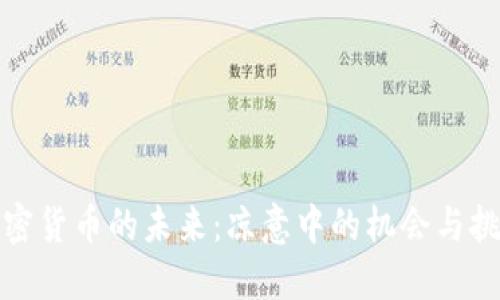 加密货币的未来：凉意中的机会与挑战