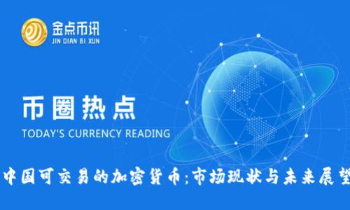 中国可交易的加密货币:市场现状与未来展望
