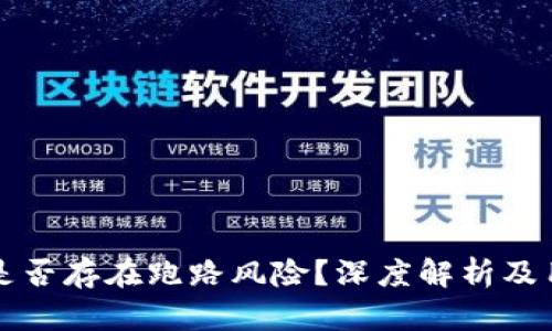 TP钱包是否存在跑路风险?深度解析及用户指南