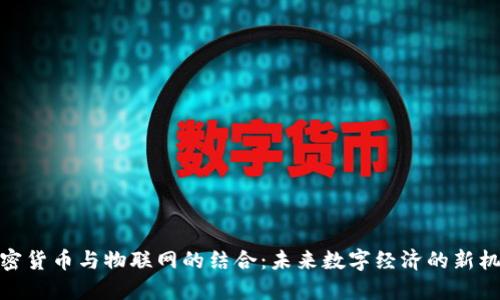 加密货币与物联网的结合:未来数字经济的新机遇