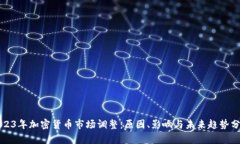 2023年加密货币市场调整：