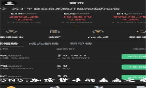 BNB：加密货币的未来之星