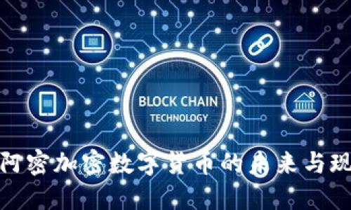迈阿密加密数字货币的未来与现状