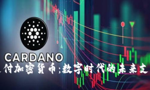 梅西支付加密货币:数字时代的未来支付方式