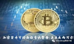 : 加密货币市场面临重大警