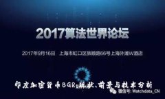 印度加密货币BGR：现状、