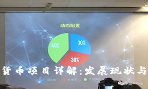越南加密货币项目详解:发展现状与未来前景